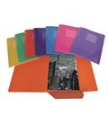 Carpeta gomas solapa fº colores surtidos mattio 3002