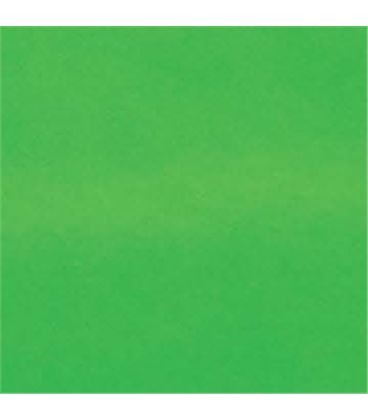 Cartulina fluorescente 50x65 25h rollo verde sadipal 131029 - 13102