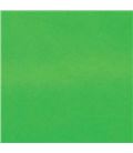Cartulina fluorescente 50x65 25h rollo verde sadipal 131029 - 13102