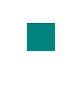 Cartulina 50x65cms 25h 185grs verde menta guarro 400080160