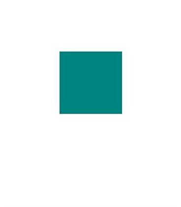 Cartulina 50x65cms 25h 185grs verde menta guarro 400080160 - 10701406