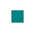Cartulina 50x65cms 25h 185grs verde menta guarro 400080160