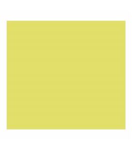 Cartulina 50x65cms 25h 185grs verde kiwi guarro 400080165