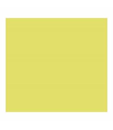 Cartulina 50x65cms 25h 185grs verde kiwi guarro 400080165 - 10701403