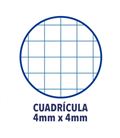 Cuaderno espiral fº 4x4 80h 90grs t/ex/d colores vivos oxford 400122761 - 400122760-1
