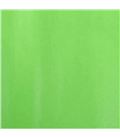 Papel seda 51cmsx76cms 25h verde lima sadipal s0718114 - S0718114