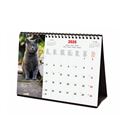 Calendario sobremesa 2025 21x15 cats finocam 78124542 - 78124542-1