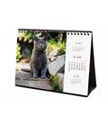 Calendario sobremesa 2025 21x15 cats finocam 78124542 - 78124542-2