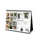 Calendario sobremesa 2025 21x15 cats finocam 78124542 - 78124542-3