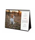 Calendario sobremesa 2025 21x15 dogs finocam 781245225 - 781245225-2