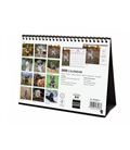 Calendario sobremesa 2025 21x15 dogs finocam 781245225 - 781245225-3