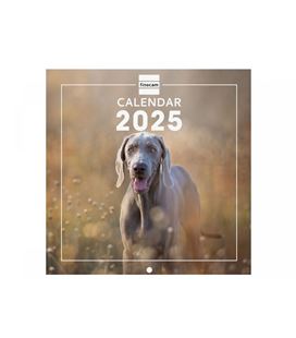Calendario pared 2025 18x18 dogs finocam 781235225 - 781235225