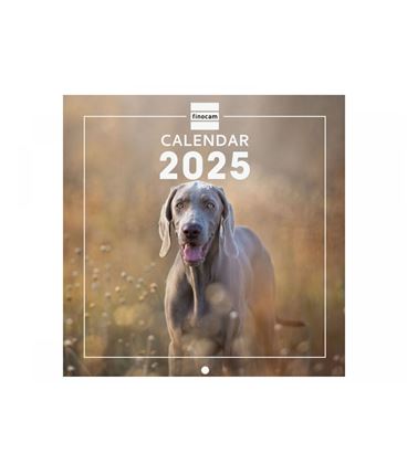 Calendario pared 2025 18x18 dogs finocam 781235225 - 781235225