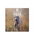 Calendario pared 2025 18x18 dogs finocam 781235225