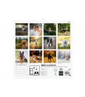 Calendario pared 2023 180x180 dogs finocam 781235223 - 781235223-2