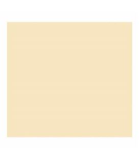Cartulina a4 185grs carne (cascara de huevo) c.50 canson iris c400108016