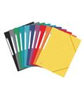 Carpeta gomas solapa a4 390g surt. top file+ oxford 400114319 - 400114319