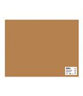 Cartulina 50x65cms 25h avellana apli 16504