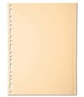 Separador a4 10 posiciones cartulina crema exacompta 1010s - 1010S