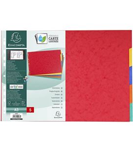 Separadores cartulina lustrada 400gr a3 5 colores exacompa 2905e - 20401104