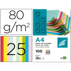 PAPEL A4 100H COLOR SURTIDO LIDERPAPEL PC62- 50332
