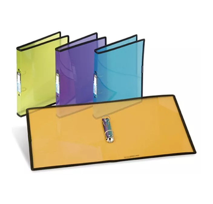 CARPETA 2 ANILLAS Fº 25MM SURTIDO FOLDERMATE 239