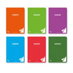 CUADERNO GRAPA Fº 4X4 48H PP SURTIDO FLEXIPAC PACSA 20056