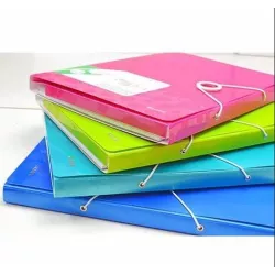 CARPETA CONGRESOS Fº PP COLORES WOW ESSELTE 4636-00-99