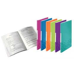 CARPETA 40 FUNDAS A4 PP LEITZ WOW SURTIDOS ESSELTE 4632-00-99