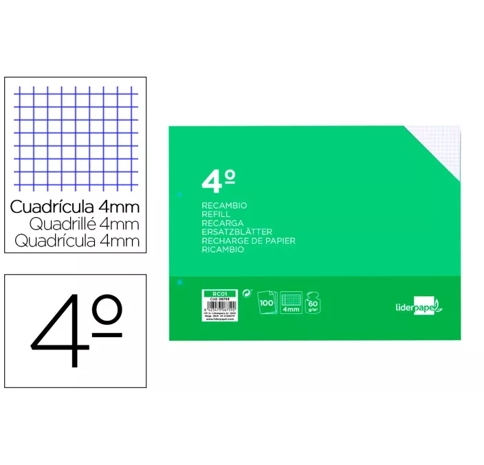 RECAMBIO 4º 4X4 APAISADO 100HOJAS 60 GRS LIDERPAPEL RC01 06759