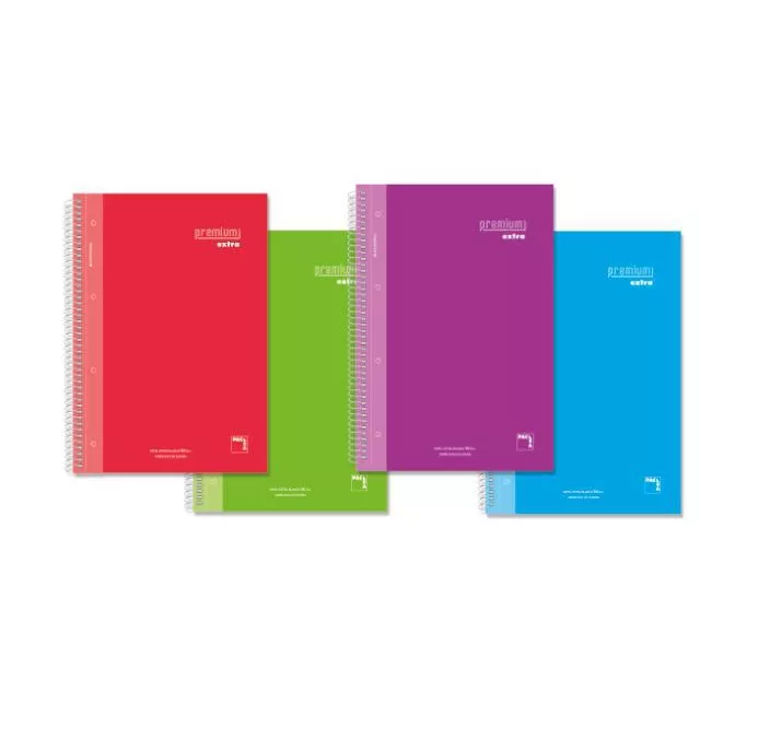 CUADERNO Fº 4X4 80H 90GRS COLORES SURTIDOS PREMIUM EXTRA PACSA 16478