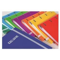 CARPETA A4 4 ANILLAS + RECAMBIO 5X5 COLORES EXCLUSIVE PACSA 25006
