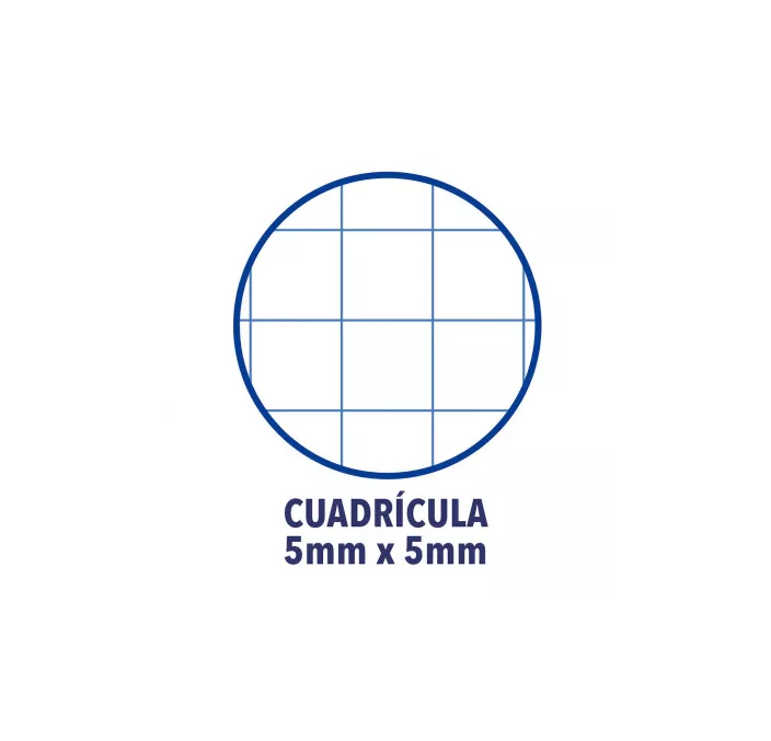 RECAMBIO A4 4 ANILLAS 5X5 120H 90GRS 5 COLORES VIVOS OXFORD 400148310