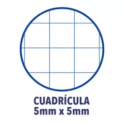 RECAMBIO A4 4 ANILLAS 5X5 120H 90GRS TURQUESA OXFORD 400158058