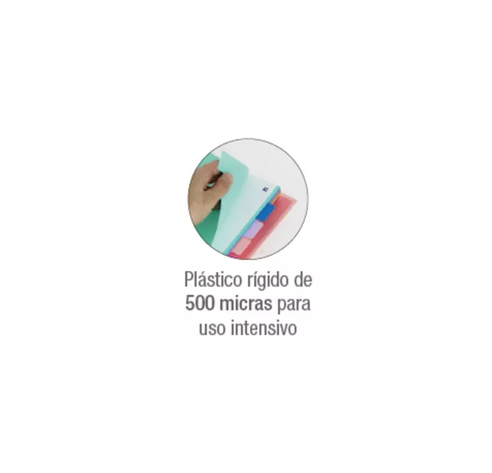SEPARADOR A4 10 POSICIONES COLORES VIVOS Y PASTEL OXFORD 400159038