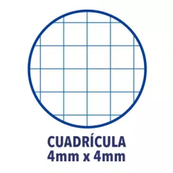 CUADERNO ESPIRAL Fº 4X4 80H 90GRS PP SURTIDO COLORES VIVOS OXFORD 400091365