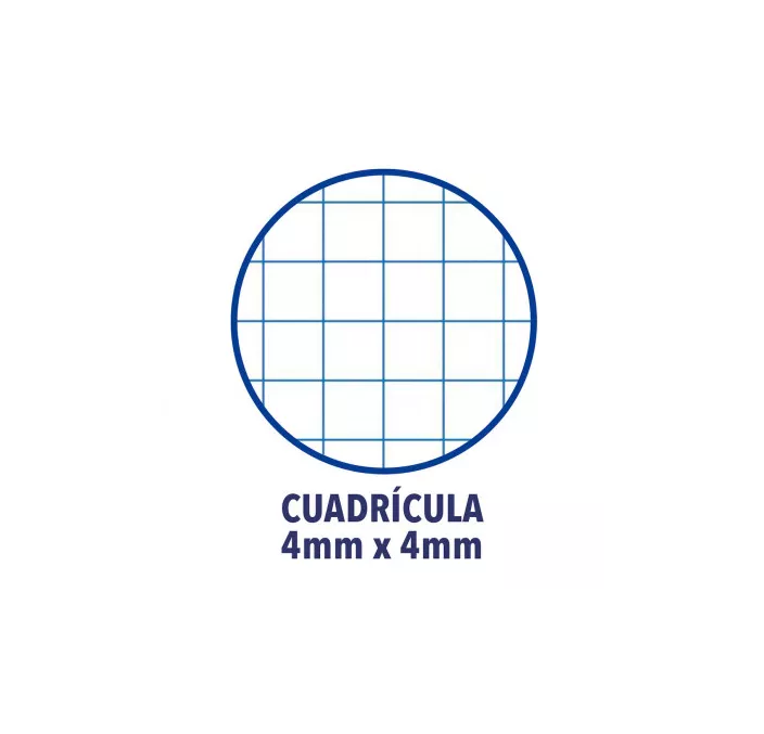 CUADERNO ESPIRAL Fº 4X4 80H 90GRS PP SURTIDO COLORES VIVOS OXFORD 400091365