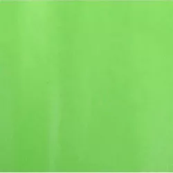 PAPEL SEDA 51CMSX76CMS 25H VERDE LIMA SADIPAL S0718114