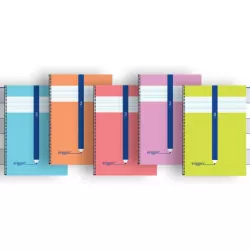 CUADERNO ESPIRAL Fº CUADROVIA 4MM 80H 70G TAPA CARTON SURTIDO ERIGGAN NSFB4