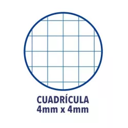 CUADERNO GRAPAS A4 48HJ 4X4 TAPA PLASTICO SURTIDOS OXFORD 400172931