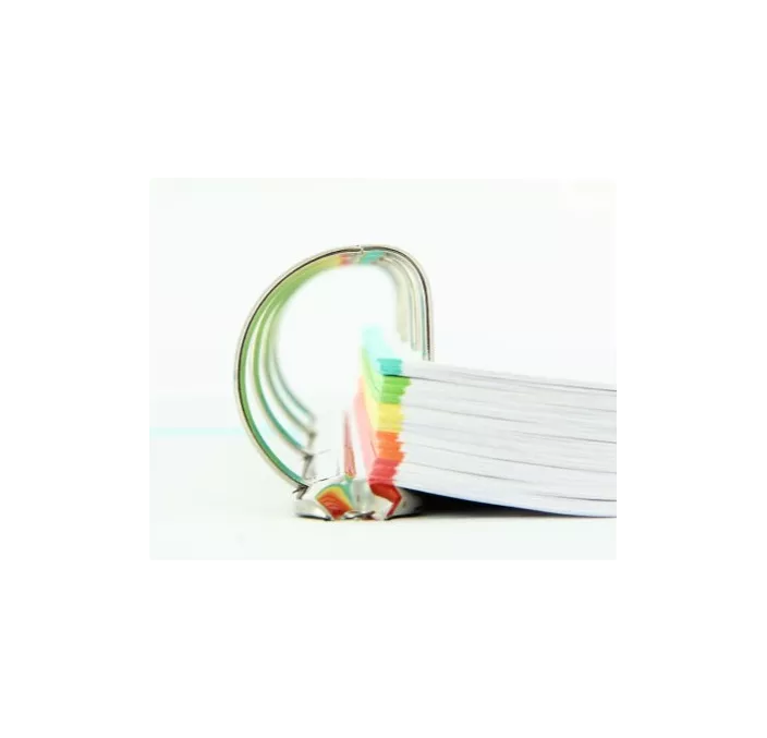 CARPETA 4 ANILLAS A4+ 25MM COLORES SURTIDOS OXFORD 400106671