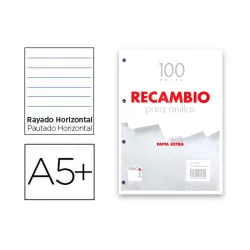 RECAMBIO 4º 4 ANILLAS RAYADO 100H 60GRS PACSA 21079