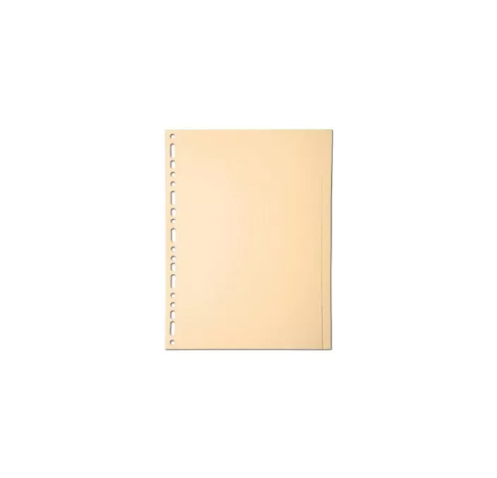 SEPARADOR A4 5 POSICIONES CARTULINA CREMA EXACOMPTA 1005S