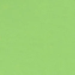 CARTULINA 50X65CMS 25H 185GRS VERDE MANZANA GUARRO C200040237