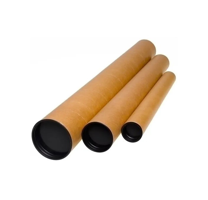 TUBO PORTAPLANOS CARTON TAPAS PLÁSTICO LARGO 640MM Ø 80MM DISTRI 24318030