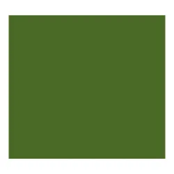 CARTULINA 50X65CMS 25H 185GRS VERDE SAFARI GUARRO 400080166