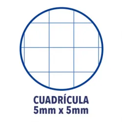 RECAMBIO A4 4 ANILLAS 5X5 250H 90GRS 5 COLORES VIVOS OXFORD 400150903
