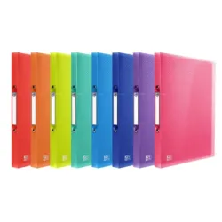 CARPETA 2 ANILLAS 15MM TAPA POLIPROPILENO A4+ SURTIDO OXFORD 400147041