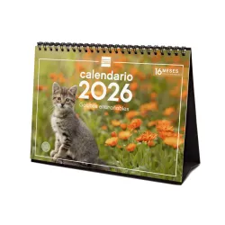 CALENDARIO SOBREMESA ESCRIBIR 2026 GATITOS FINOCAM 780323826