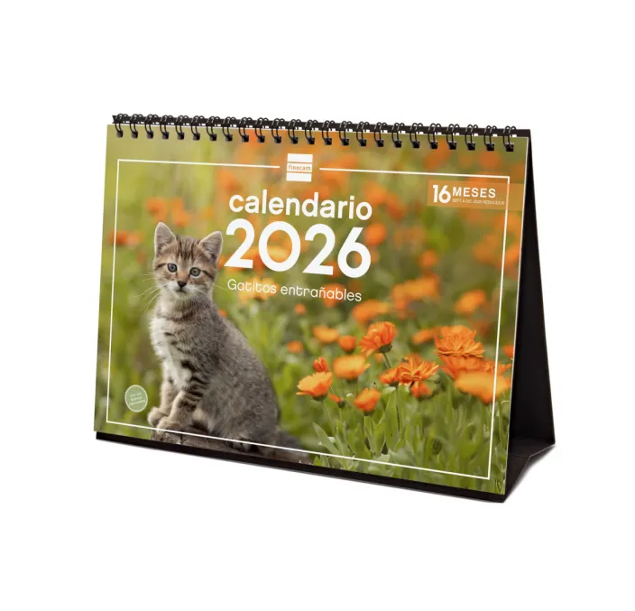 CALENDARIO SOBREMESA ESCRIBIR 2026 GATITOS FINOCAM 780323826